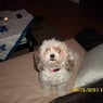 snoopygirl39