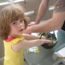 mimmihops1