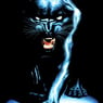 Blackphanter