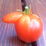 Schnaakel