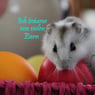 FrauHamster