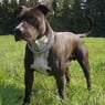 Benny0209