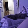 AnnalenKlei