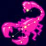 Pinkscorpion
