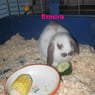 Ermira