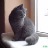 Sandra1206