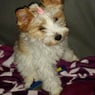 Leonie2008