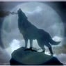 wolfshexe