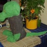 swampy