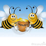 honey11