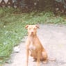 LeonLB77