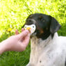 hoermchen