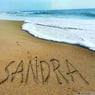 sandra0881