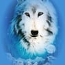 Dragonwulf