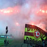Rene29