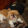boanne