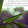 nachteule74