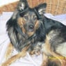 balu1961de