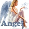 Wightangel