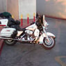 coyote68