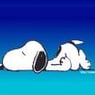 snoopy67