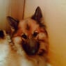 hanka