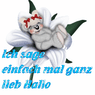 okayalde4766