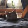 Mrssilvia37