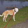 ernakowalski