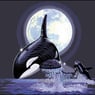 EremitOrca