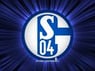 Schalke2008