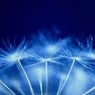 Bluemle