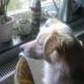 medy2001
