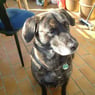 Jessy3470