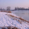 dergemeine