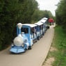 Ratzi333