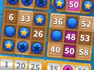 Bingo Spinner screenshot