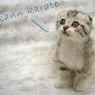 schneggsche2
