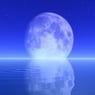 Dream