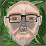 gorillastv86