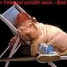 Drachen32