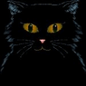 BlackCat2007