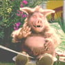 balu2