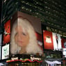 bonny8