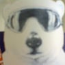 gudi6563