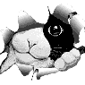 Dulcissima