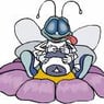 Fliege0102