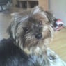 so4silke