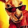Skippy42