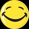 smilie44